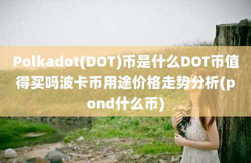 Polkadot(DOT)币是什么DOT币值得买吗波卡币用途价格走势分析(pond什么币)