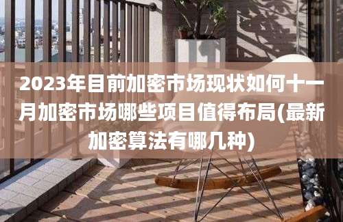 2023年目前加密市场现状如何十一月加密市场哪些项目值得布局(最新加密算法有哪几种)