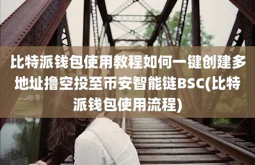 比特派钱包使用教程如何一键创建多地址撸空投至币安智能链BSC(比特派钱包使用流程)