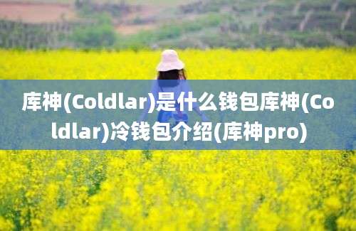 库神(Coldlar)是什么钱包库神(Coldlar)冷钱包介绍(库神pro)