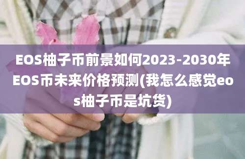 EOS柚子币前景如何2023-2030年EOS币未来价格预测(我怎么感觉eos柚子币是坑货)