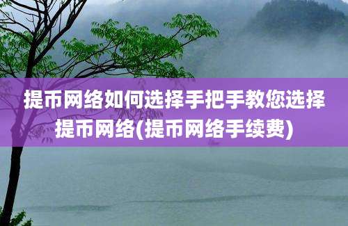 提币网络如何选择手把手教您选择提币网络(提币网络手续费)