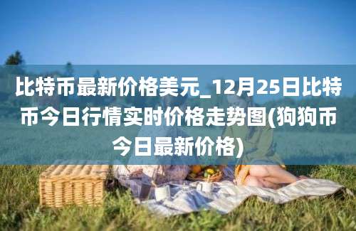 比特币最新价格美元_12月25日比特币今日行情实时价格走势图(狗狗币今日最新价格)