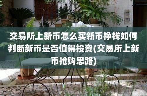 交易所上新币怎么买新币挣钱如何判断新币是否值得投资(交易所上新币抢购思路)