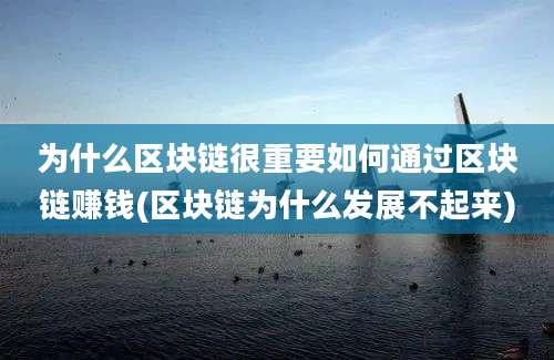 为什么区块链很重要如何通过区块链赚钱(区块链为什么发展不起来)