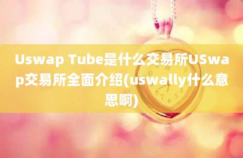 Uswap Tube是什么交易所USwap交易所全面介绍(uswally什么意思啊)