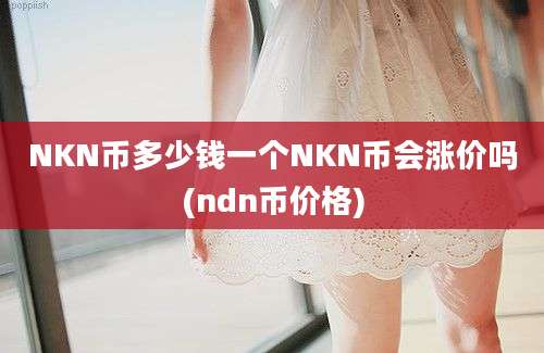 NKN币多少钱一个NKN币会涨价吗(ndn币价格)