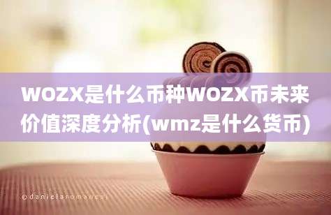 WOZX是什么币种WOZX币未来价值深度分析(wmz是什么货币)