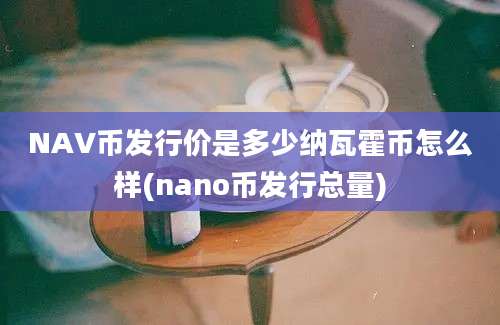 NAV币发行价是多少纳瓦霍币怎么样(nano币发行总量)