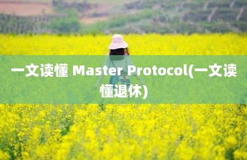 一文读懂 Master Protocol(一文读懂退休)