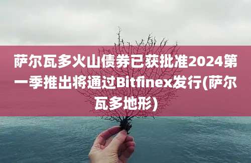 萨尔瓦多火山债券已获批准2024第一季推出将通过Bitfinex发行(萨尔瓦多地形)