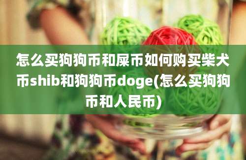 怎么买狗狗币和屎币如何购买柴犬币shib和狗狗币doge(怎么买狗狗币和人民币)