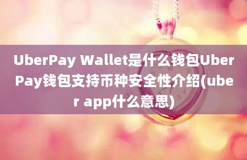 UberPay Wallet是什么钱包UberPay钱包支持币种安全性介绍(uber app什么意思)