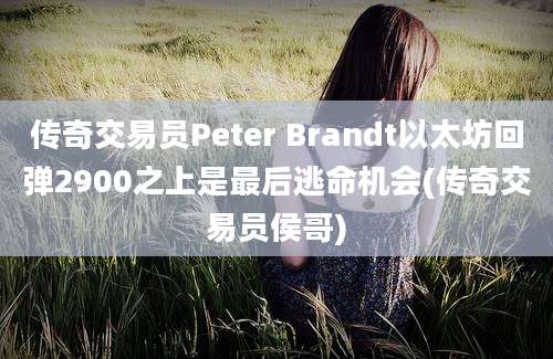 传奇交易员Peter Brandt以太坊回弹2900之上是最后逃命机会(传奇交易员侯哥)