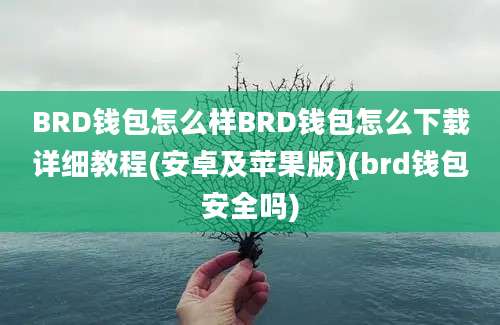 BRD钱包怎么样BRD钱包怎么下载详细教程(安卓及苹果版)(brd钱包安全吗)