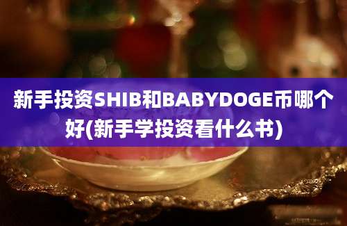 新手投资SHIB和BABYDOGE币哪个好(新手学投资看什么书)