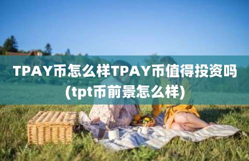 TPAY币怎么样TPAY币值得投资吗(tpt币前景怎么样)