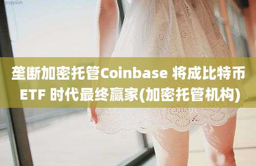 垄断加密托管Coinbase 将成比特币 ETF 时代最终赢家(加密托管机构)