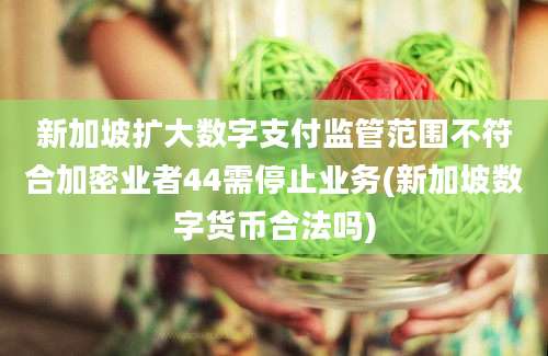 新加坡扩大数字支付监管范围不符合加密业者44需停止业务(新加坡数字货币合法吗)