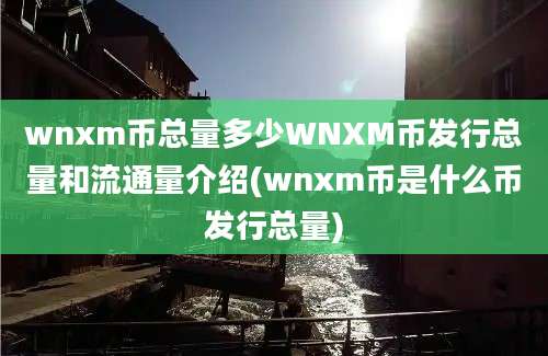 wnxm币总量多少WNXM币发行总量和流通量介绍(wnxm币是什么币发行总量)