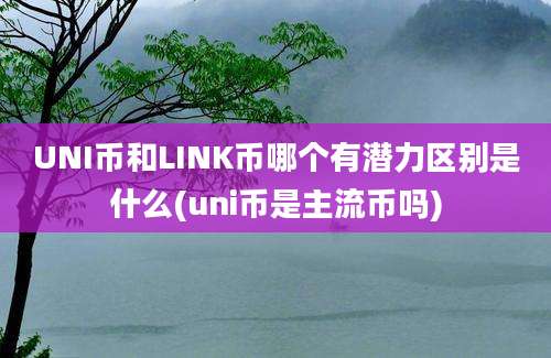 UNI币和LINK币哪个有潜力区别是什么(uni币是主流币吗)