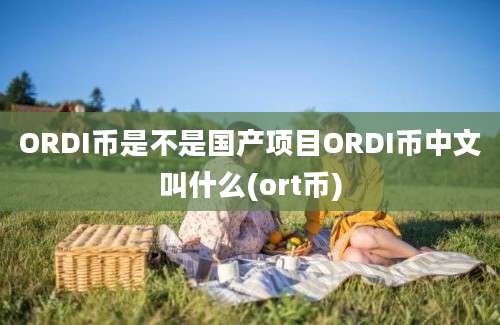 ORDI币是不是国产项目ORDI币中文叫什么(ort币)