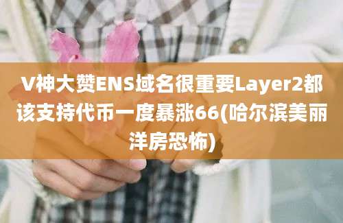 V神大赞ENS域名很重要Layer2都该支持代币一度暴涨66(哈尔滨美丽洋房恐怖)