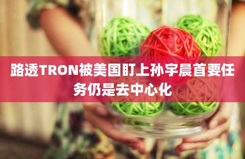 路透TRON被美国盯上孙宇晨首要任务仍是去中心化