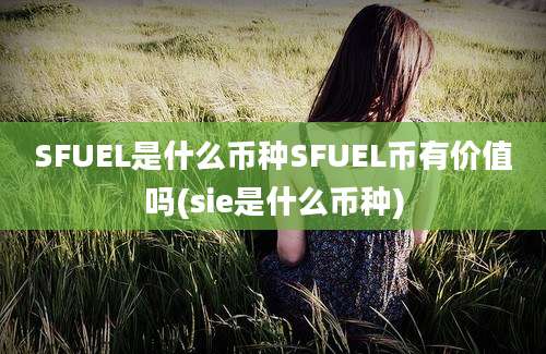 SFUEL是什么币种SFUEL币有价值吗(sie是什么币种)