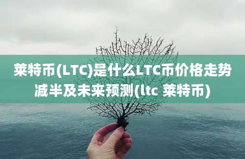 莱特币(LTC)是什么LTC币价格走势减半及未来预测(ltc 莱特币)