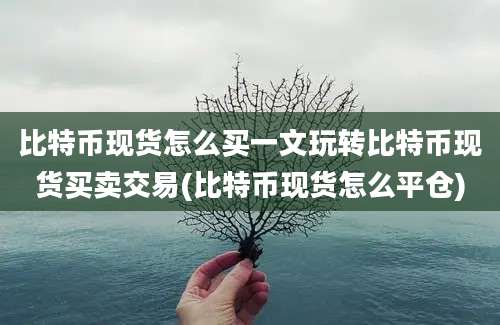 比特币现货怎么买一文玩转比特币现货买卖交易(比特币现货怎么平仓)