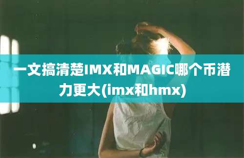 一文搞清楚IMX和MAGIC哪个币潜力更大(imx和hmx)