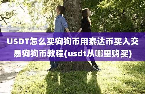 USDT怎么买狗狗币用泰达币买入交易狗狗币教程(usdt从哪里购买)