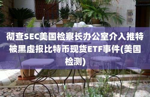 彻查SEC美国检察长办公室介入推特被黑虚报比特币现货ETF事件(美国检测)