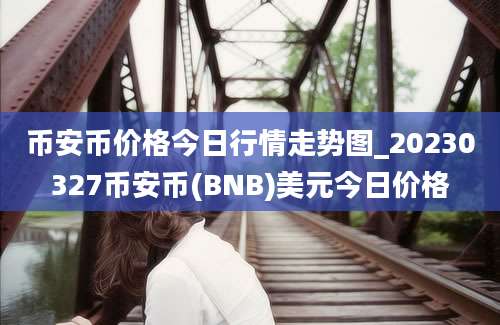 币安币价格今日行情走势图_20230327币安币(BNB)美元今日价格