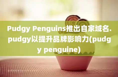 Pudgy Penguins推出自家域名.pudgy以提升品牌影响力(pudgy penguine)