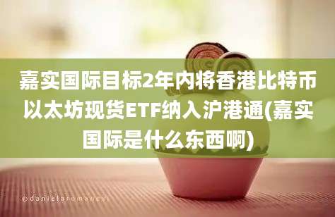 嘉实国际目标2年内将香港比特币以太坊现货ETF纳入沪港通(嘉实国际是什么东西啊)