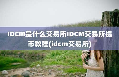 IDCM是什么交易所IDCM交易所提币教程(idcm交易所)