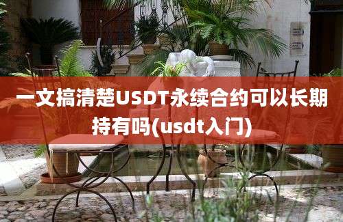 一文搞清楚USDT永续合约可以长期持有吗(usdt入门)