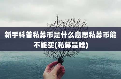 新手科普私募币是什么意思私募币能不能买(私募是啥)