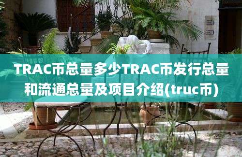 TRAC币总量多少TRAC币发行总量和流通总量及项目介绍(truc币)