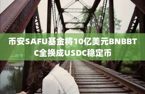 币安SAFU基金将10亿美元BNBBTC全换成USDC稳定币