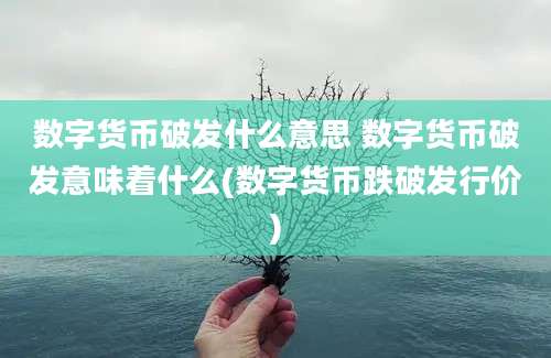 数字货币破发什么意思 数字货币破发意味着什么(数字货币跌破发行价)