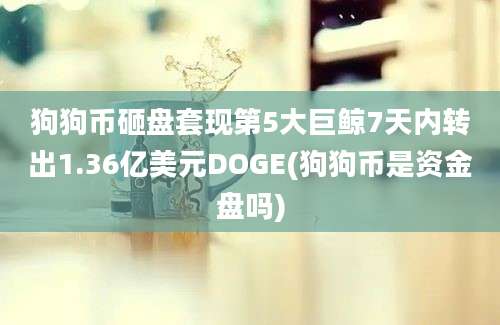 狗狗币砸盘套现第5大巨鲸7天内转出1.36亿美元DOGE(狗狗币是资金盘吗)