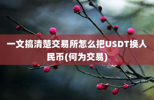 一文搞清楚交易所怎么把USDT换人民币(何为交易)