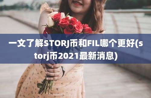 一文了解STORJ币和FIL哪个更好(storj币2021最新消息)