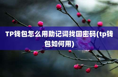 TP钱包怎么用助记词找回密码(tp钱包如何用)