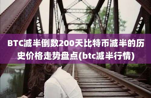 BTC减半倒数200天比特币减半的历史价格走势盘点(btc减半行情)