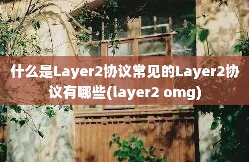 什么是Layer2协议常见的Layer2协议有哪些(layer2 omg)