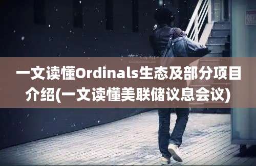 一文读懂Ordinals生态及部分项目介绍(一文读懂美联储议息会议)